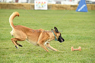 D&C's Captain Fizzgig