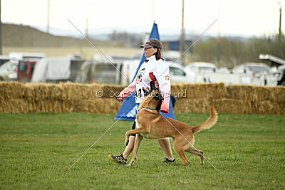 D&C's Captain Fizzgig