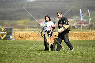 D&C's Captain Fizzgig