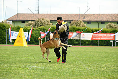 D&C's Captain Fizzgig