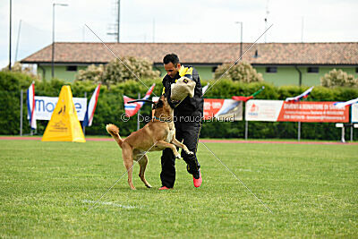 D&C's Captain Fizzgig