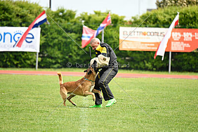 D&C's Captain Fizzgig