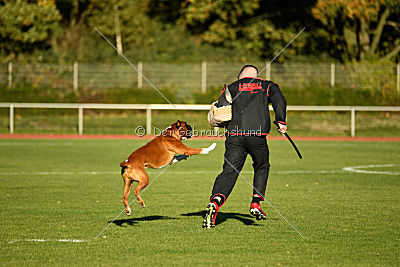 DJ von der Kleinen Hexe
