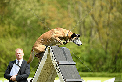 Da Liah Primus Proeliator