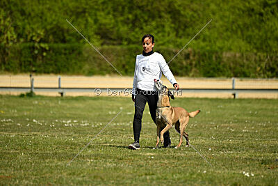 Da Liah Primus Proeliator