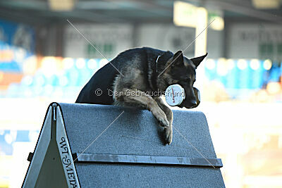 Dagger Czech Legendary