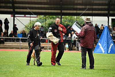 Daika von der schwarzen Mamba