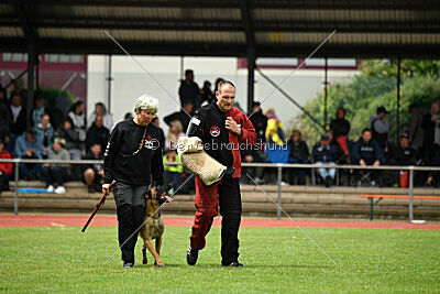 Daika von der schwarzen Mamba