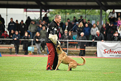 Daika von der schwarzen Mamba