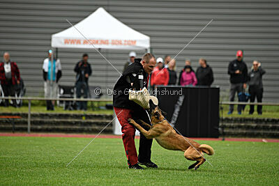 Daika von der schwarzen Mamba