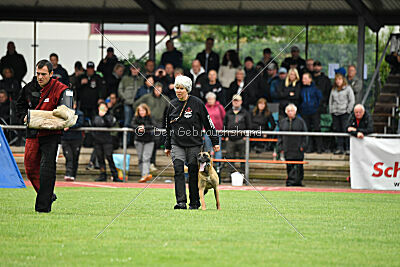 Daika von der schwarzen Mamba