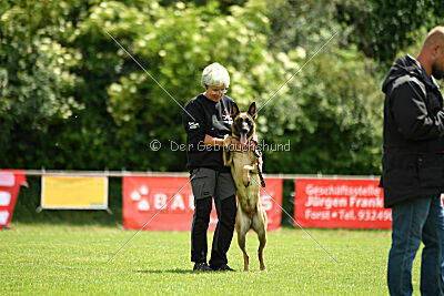 Daika von der schwarzen Mamba