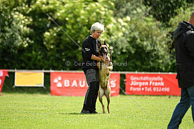 Daika von der schwarzen Mamba