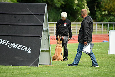 Daika von der schwarzen Mamba