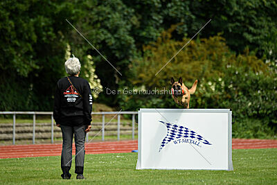 Daika von der schwarzen Mamba