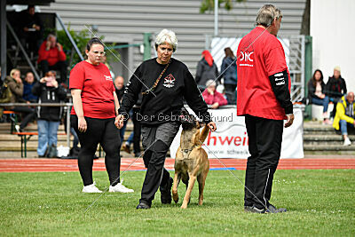 Daika von der schwarzen Mamba