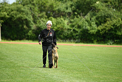 Daika von der schwarzen Mamba