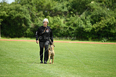 Daika von der schwarzen Mamba