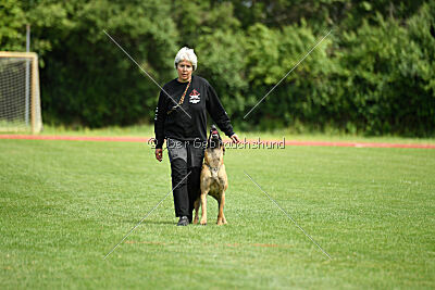 Daika von der schwarzen Mamba