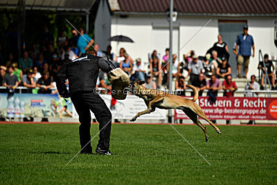 Daiquiri vom Hirtengarten