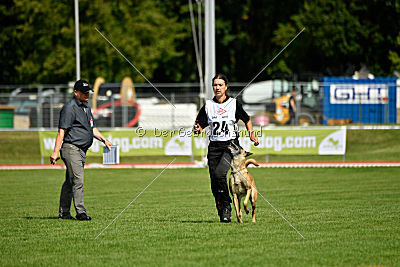 Daiquiri vom Hirtengarten