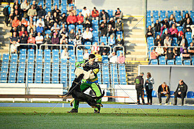 Dana von der Wittelsburg