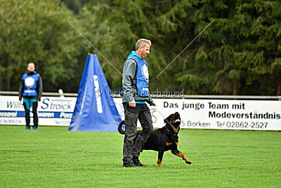 Dante vom Schwaiger Rathaus
