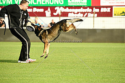 Dark vom Haus Pixner