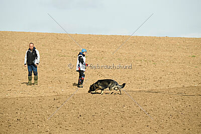 Darka King Adventure