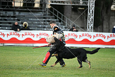 Daro von den Koschis