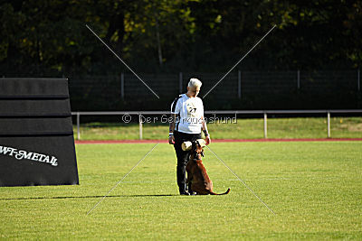 Darragh vom Hirscher-Hof
