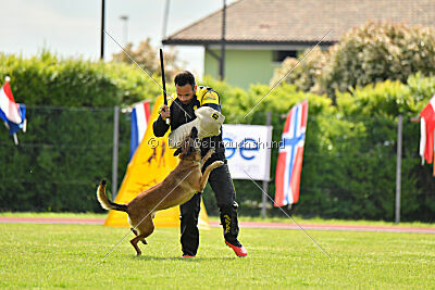 Davinia vom Weinbergland