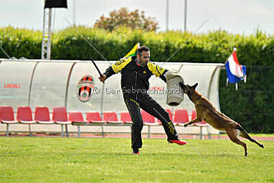 Davinia vom Weinbergland