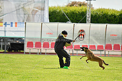 Davinia vom Weinbergland