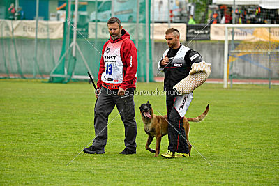 Delia Force Canina