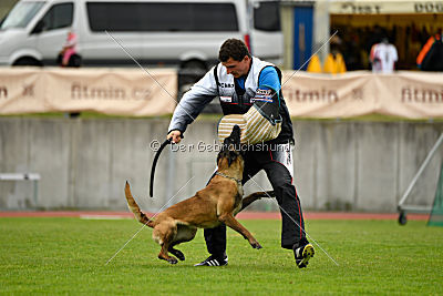 Delia Force Canina