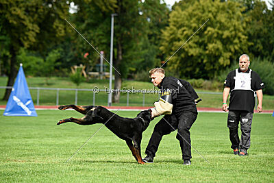 Desert vom Illergries