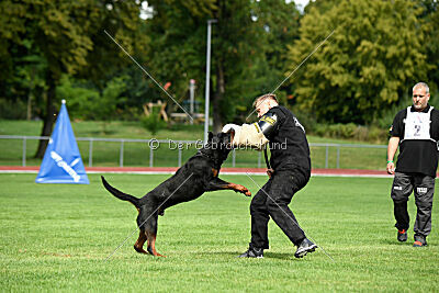 Desert vom Illergries