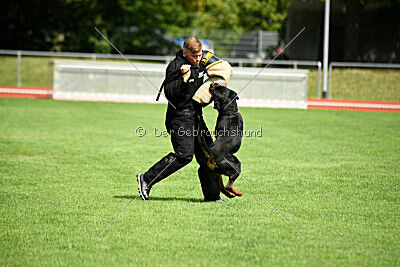 Desert vom Illergries