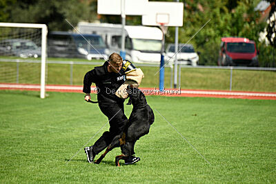 Desert vom Illergries