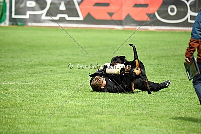 Desert vom Illergries