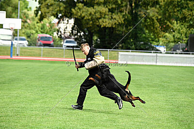 Desert vom Illergries