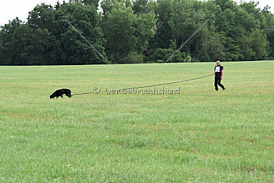 Desert vom Illergries