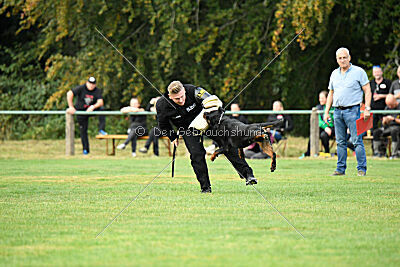 Desert vom Illergries