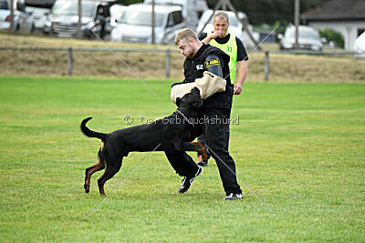 Desert vom Illergries