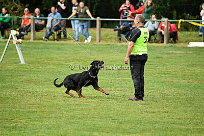 Desert vom Illergries