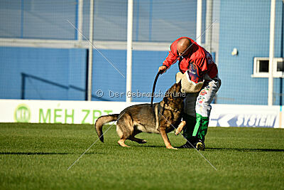 Dewil Moravia Kerberos