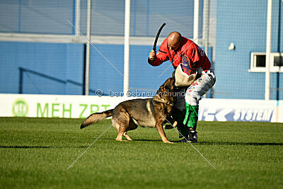 Dewil Moravia Kerberos
