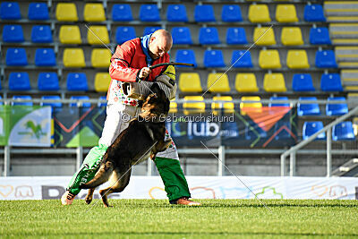 Dewil Moravia Kerberos