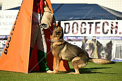 Dewil Moravia Kerberos